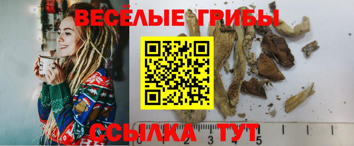 Псилоцибиновые грибы GOLDEN TEACHER  Вход с VPN  Псилоцибиновые грибы GOLDEN TEACHER  Бор 